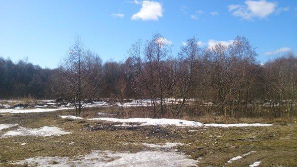 DSC_1172.thumb.JPG.68150d3fad97d7cd156e9