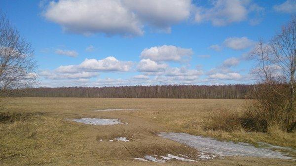 DSC_1173.thumb.JPG.cdd090db909cb362d986d