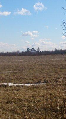 DSC_1175.thumb.JPG.b154b8093b39a8fae720b