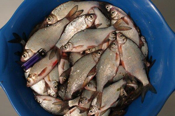 IMG_0383.thumb.JPG.2e17a5962bf7b24dc8d4a