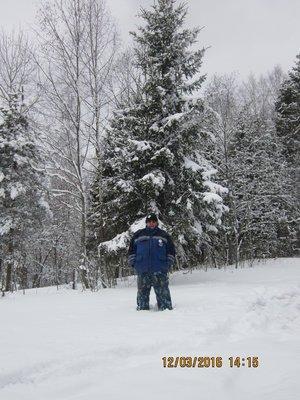 IMG_1918.thumb.JPG.613497b0d5854728c3123