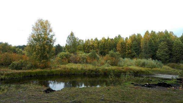 IMG_20150917_134112.thumb.jpg.0aa2e32a86