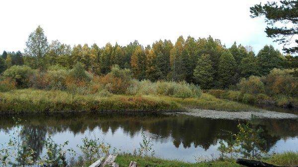 IMG_20150917_134131.thumb.jpg.fe5e49e0c9