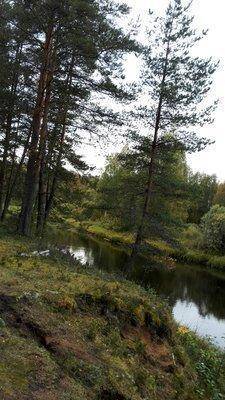 IMG_20150917_134150.thumb.jpg.32a80107ed