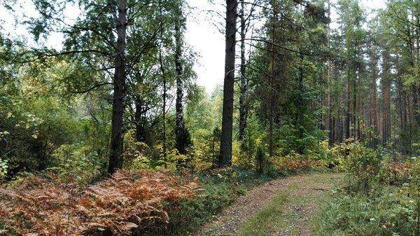 IMG_20150917_134329.thumb.jpg.8dc1723b2a