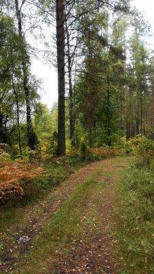 IMG_20150917_134335.thumb.jpg.ce7d6e2ec3