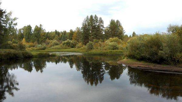 IMG_20150917_135244.thumb.jpg.af9bd92eab