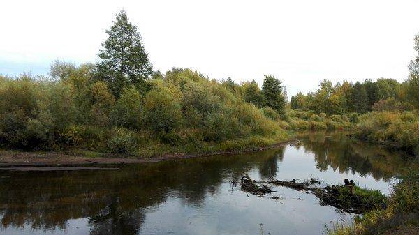 IMG_20150917_135248.thumb.jpg.4301c655aa