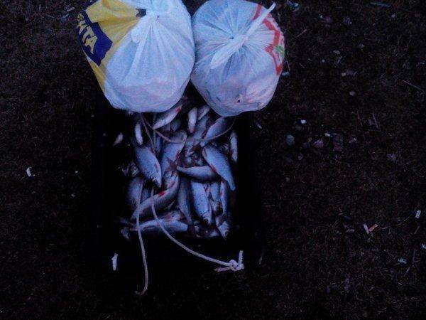 IMG_20160322_193508.thumb.jpg.1a03e457ca