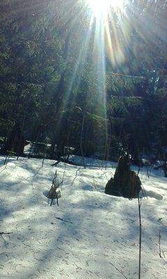 IMG_20160326_092525.thumb.jpg.bfd8b5dba4