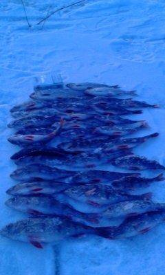 IMG_20160326_193226.thumb.jpg.af8d24196f