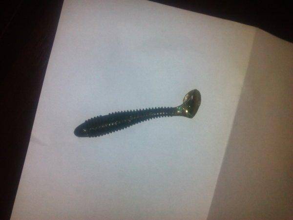 IMG_20160331_173008.thumb.jpg.35a3552783