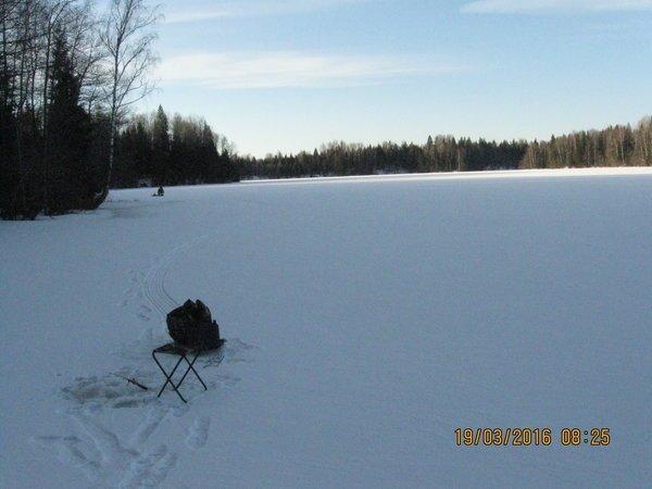 IMG_3043.thumb.JPG.cf5439c446413b0522850