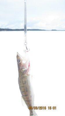 IMG_6567.thumb.JPG.8e6643aba80d4a1242678