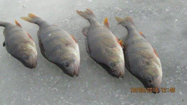 IMG_6579.thumb.JPG.c8632b189532ba805c4a6