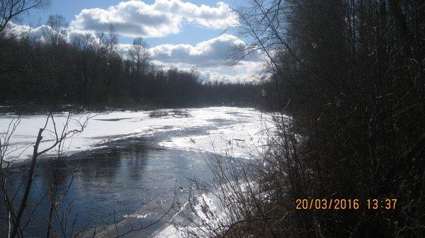 IMG_6616.thumb.JPG.3dcf7c18a3642a18ae99c