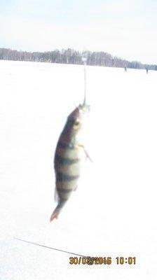 IMG_6650.thumb.JPG.d3fcdf4daafe917396ef6