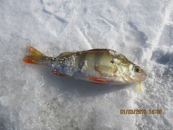 IMG_8174.thumb.JPG.0ea4487fedefe5c029812