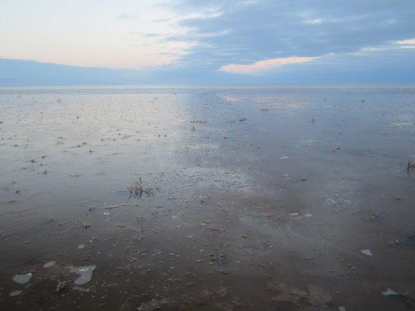 IMG_8464.thumb.JPG.fa89397bc52800b38f5a7