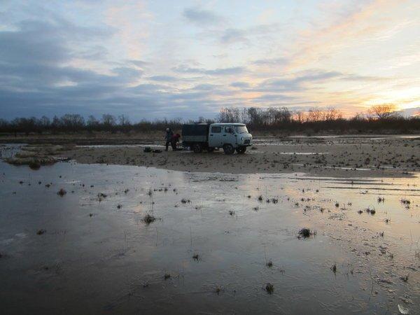 IMG_8466.thumb.JPG.1968789c282c9728a6d3c