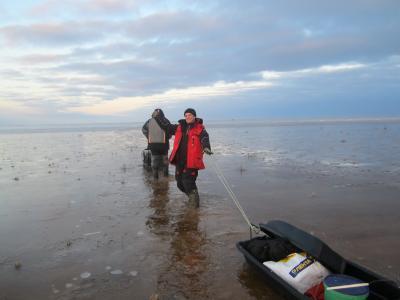 IMG_8468.thumb.JPG.00e7468988bee8e481ea1