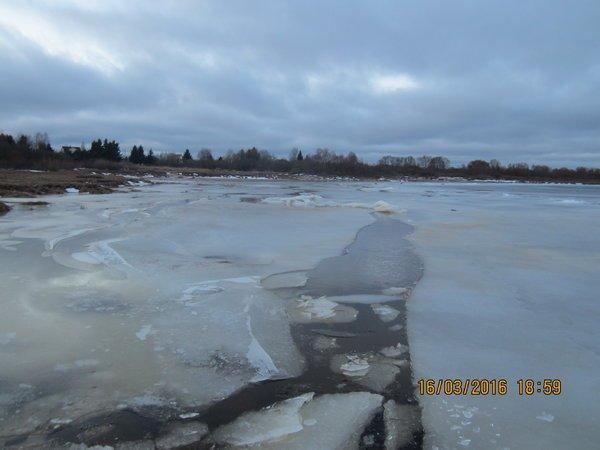 IMG_8510.thumb.JPG.725e34f7be55df16d9e87