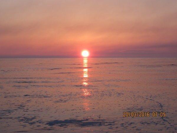 IMG_8521.thumb.JPG.ccf70b1a0256dedc11bf8