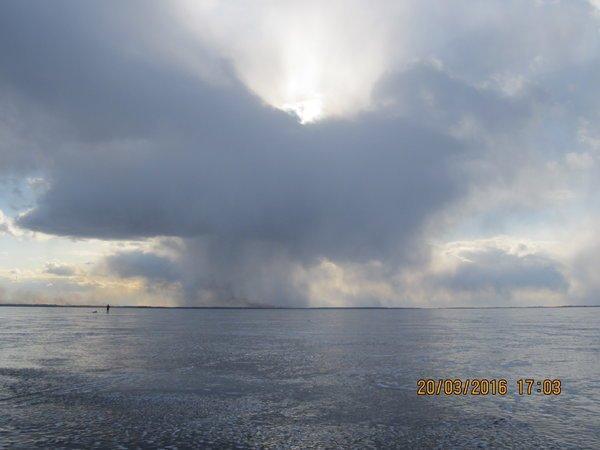 IMG_8531.thumb.JPG.b6862ca9d1c28b5ff245b