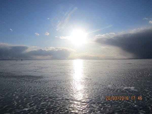 IMG_8539.thumb.JPG.d7c6eb160f07cfe8d7626