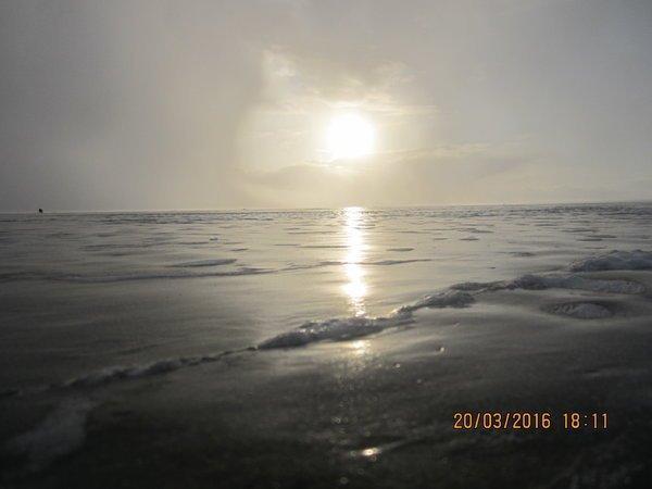 IMG_8540.thumb.JPG.1839140423c461b1b4f1f