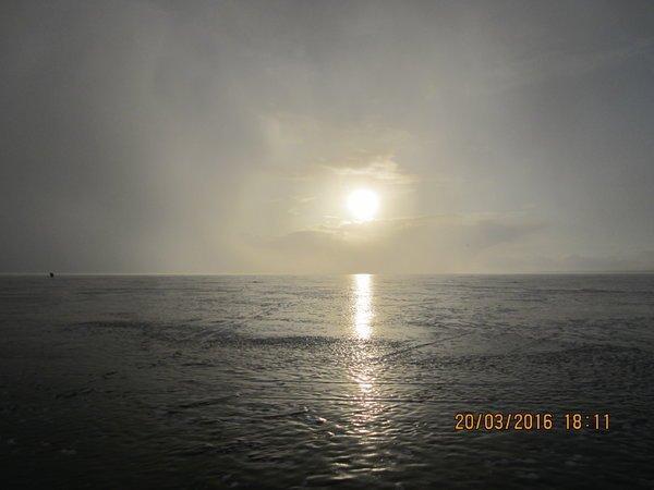 IMG_8541.thumb.JPG.4ea94d4a47131c6e7d067