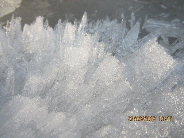 IMG_8588.thumb.JPG.fe7e2a8a948b20454b218