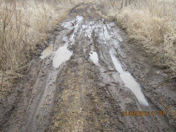 IMG_8592.thumb.JPG.fdb1a49380078b3580a89