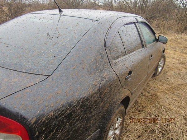 IMG_8596.thumb.JPG.73268c1f935f2683eae47