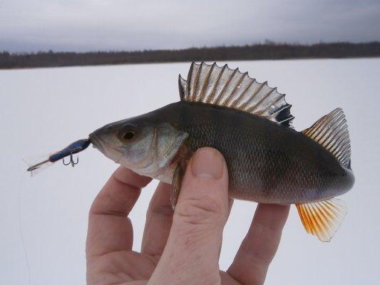 P2250592.thumb.JPG.b5cf5d54d3eddb1eda43c