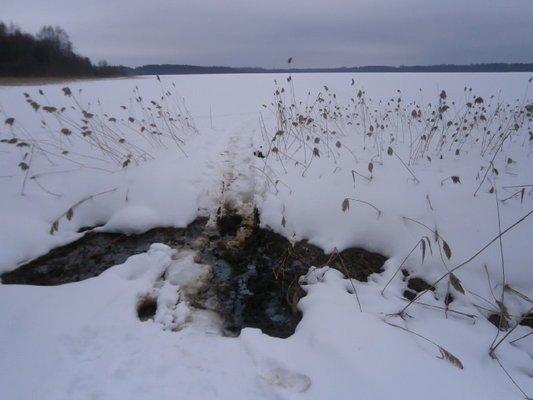 P2250593.thumb.JPG.21515b204e259d11e9f50