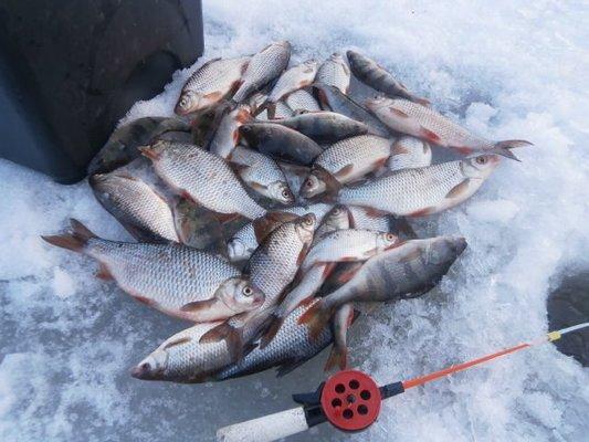 P2270599.thumb.JPG.71499d351a77de79d723b