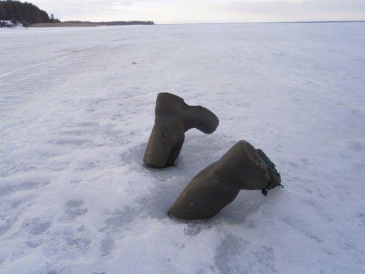 P2290601.thumb.JPG.161fee3cb27049929791b