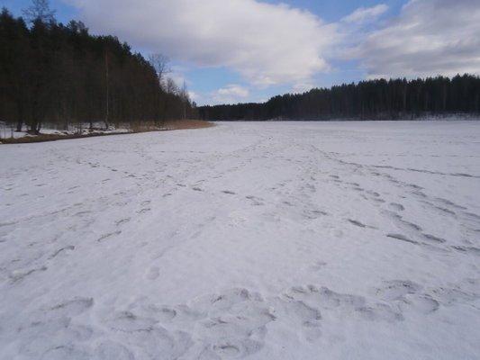 P3060612.thumb.JPG.ecc7e8fc19d2526f10a82