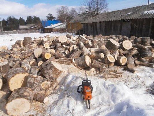 P3070620.thumb.JPG.f54eff3c81969cb73654b