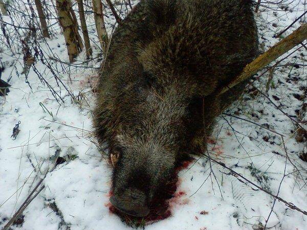 SP_A0042.thumb.jpg.754590bceaaccc88d02e0