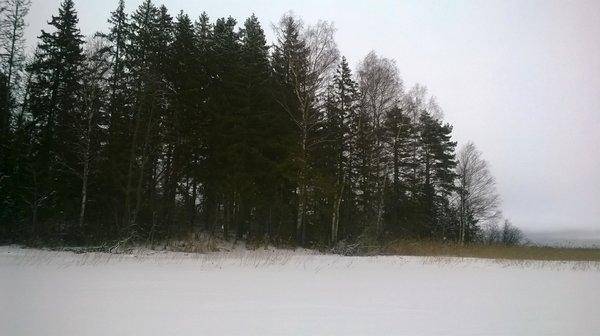 WP_20160305_001.thumb.jpg.cd25a664b3baf2