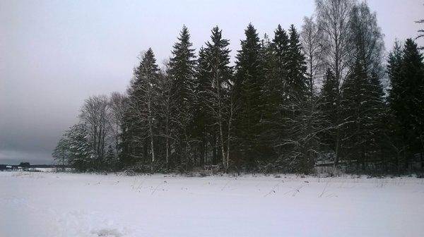 WP_20160305_002.thumb.jpg.9c69fcb3837e57