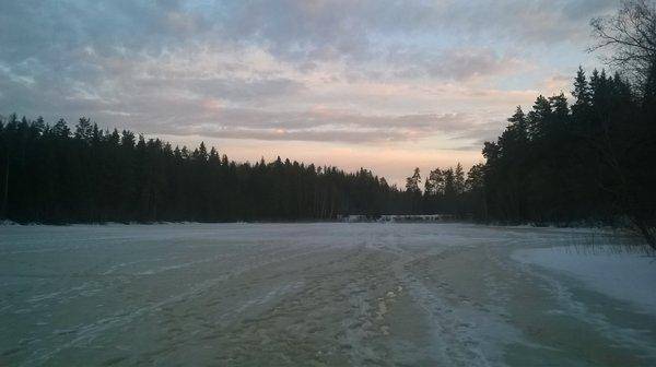 WP_20160312_001.thumb.jpg.ab32009bfec33b