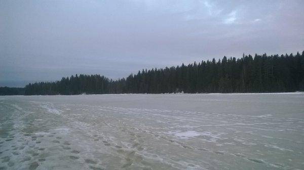 WP_20160312_002.thumb.jpg.3bc49fadaae8ec