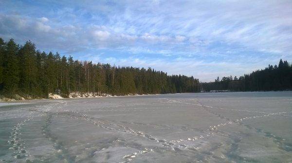 WP_20160312_005.thumb.jpg.0f0904012d48b8