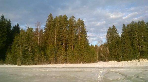 WP_20160312_006.thumb.jpg.9a23782994a2a7