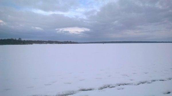 WP_20160312_007.thumb.jpg.c63b7a375d938a