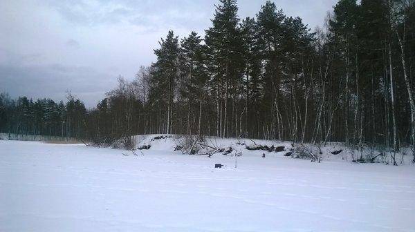 WP_20160312_009.thumb.jpg.3972cd15170eaf