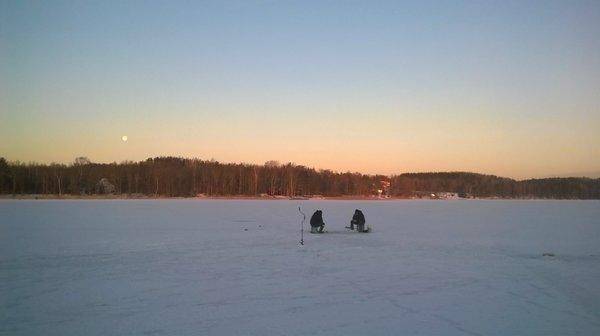 WP_20160326_003.thumb.jpg.d2864141299d69